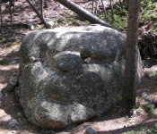 Montana 09 245